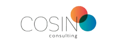 Logo Cosin Consulting